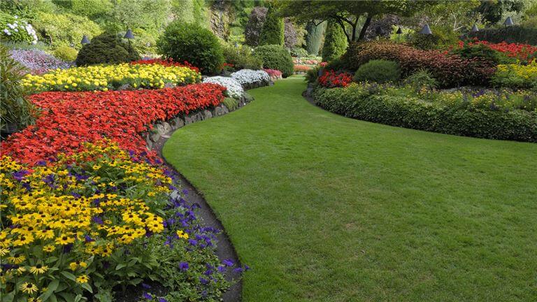 Established Successful Landscaping Company
