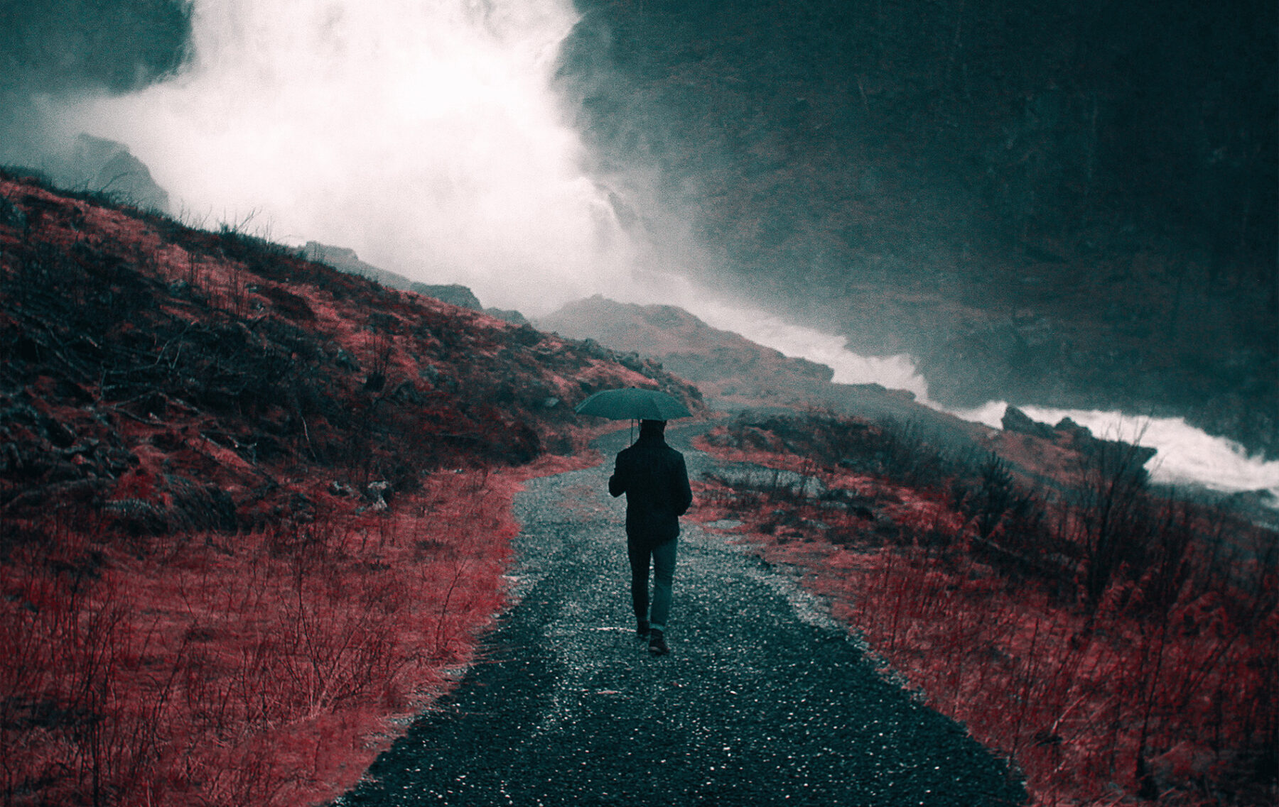 a person walking down a road with an umbrella.