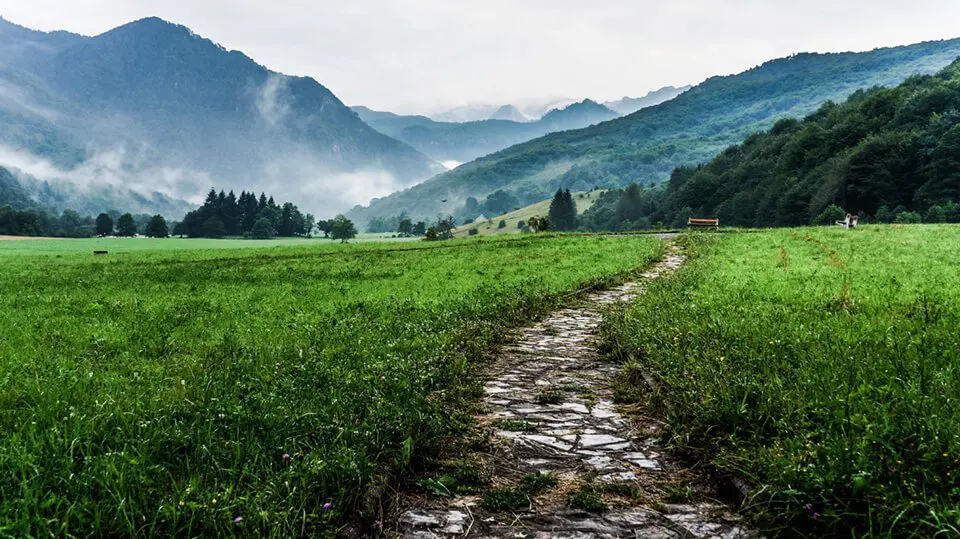 Path in open landscape