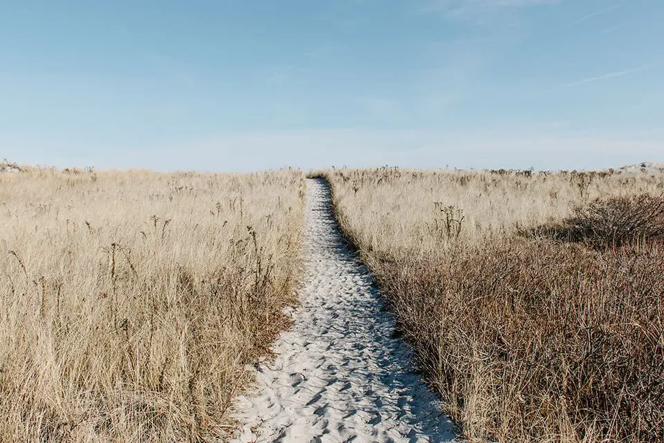 Sand path in the middle of a field