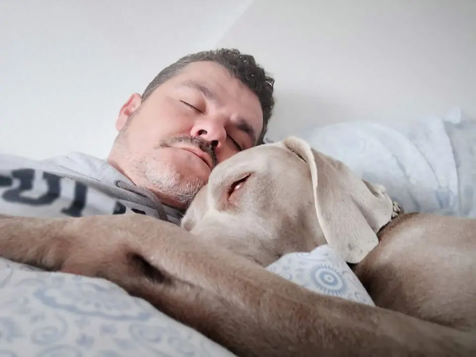 Man sleeping in bed with his dog