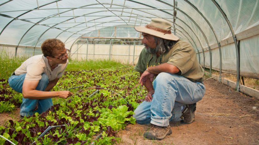 USDA and SCORE Mentorship Program to Provide Help to Farms, Ranches, and Local Rural Businesses