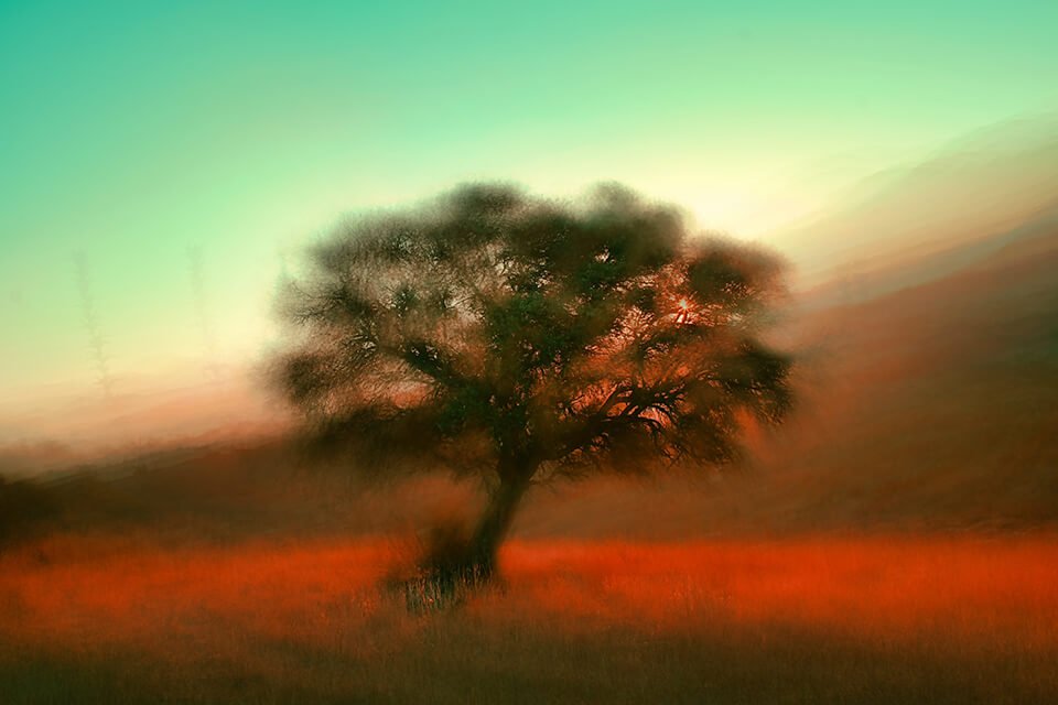 Abstract tree